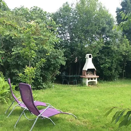 De Avec Jardin Arbore